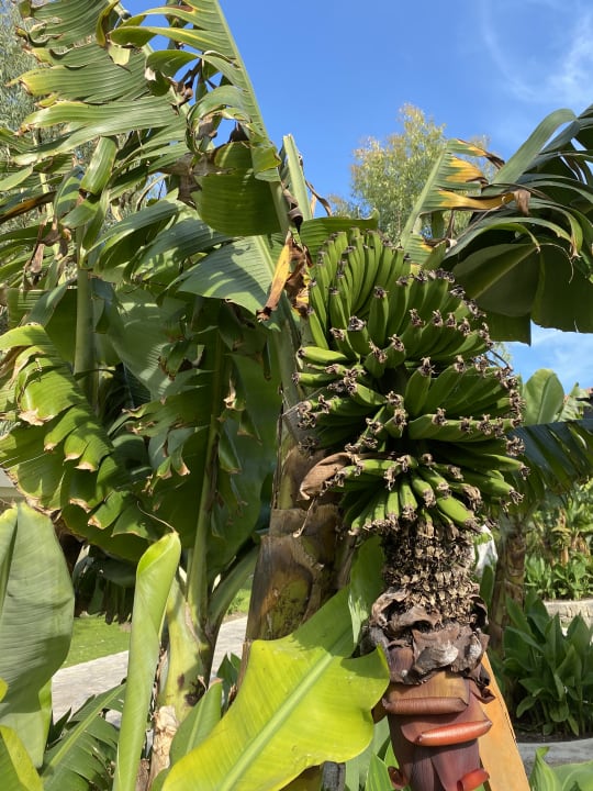 Sonstiges Melas Holiday Village