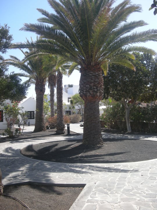 Die Anlage allsun App.-Hotel Albatros
