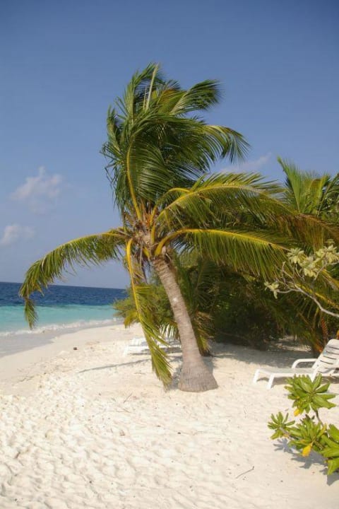 Palme Adaaran Club Rannalhi - All Inclusive