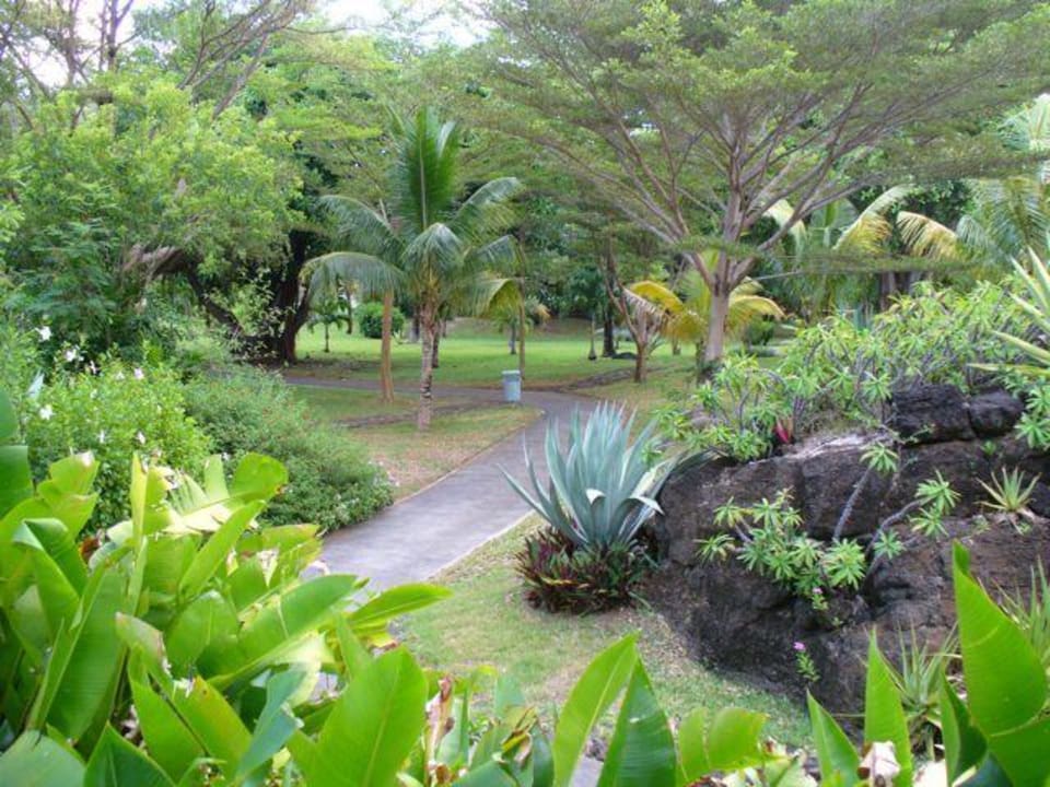 Ogród Shangri-La Le Touessrok Mauritius