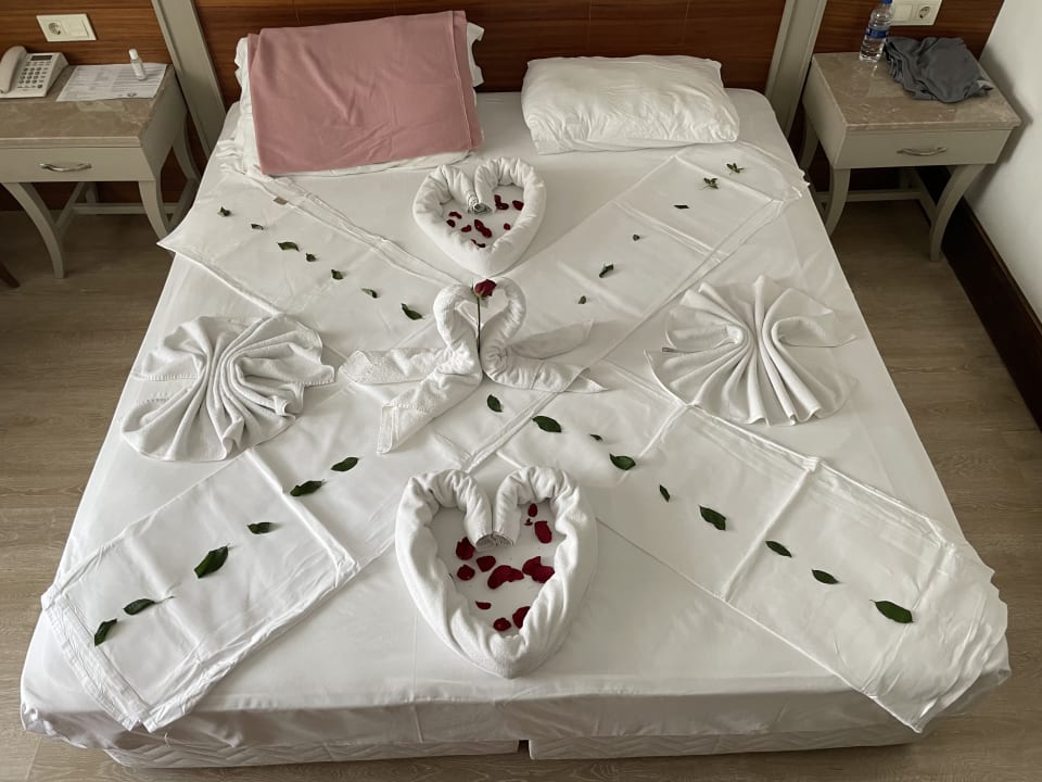 Zimmer Well Palace Side