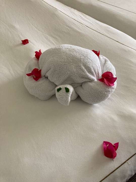 Zimmer Cleopatra Luxury Resort Makadi Bay