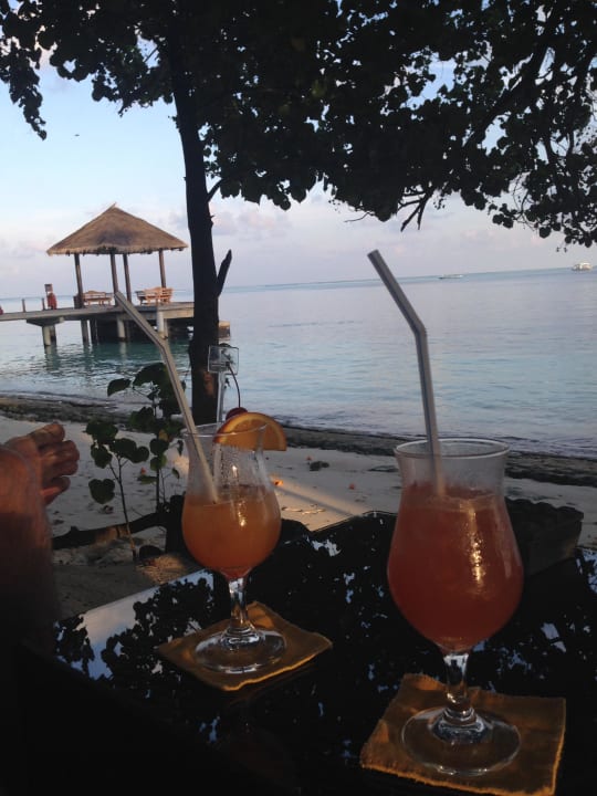 Ausblick von der Bar Vilamendhoo Island Resort & Spa