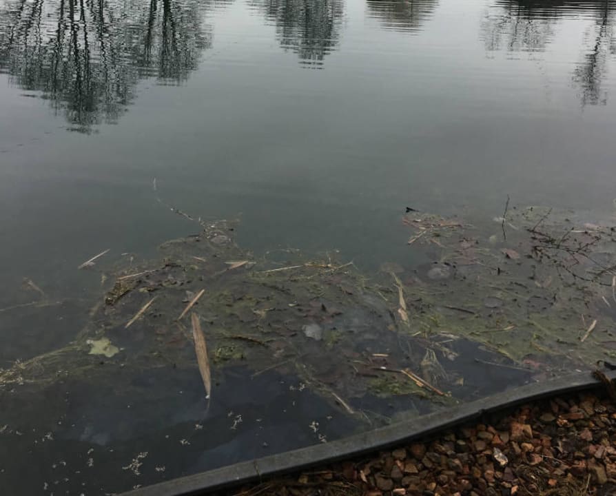 Verkommener Angelteich Resort Arcen