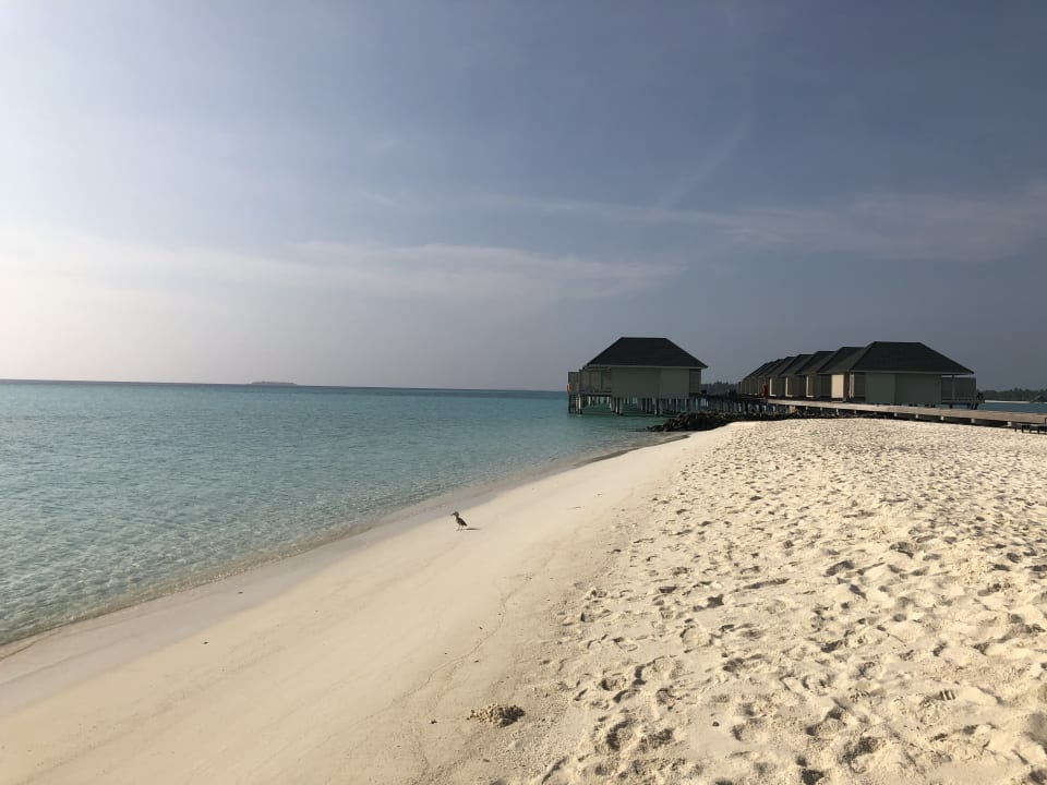 Strand Summer Island Maldives