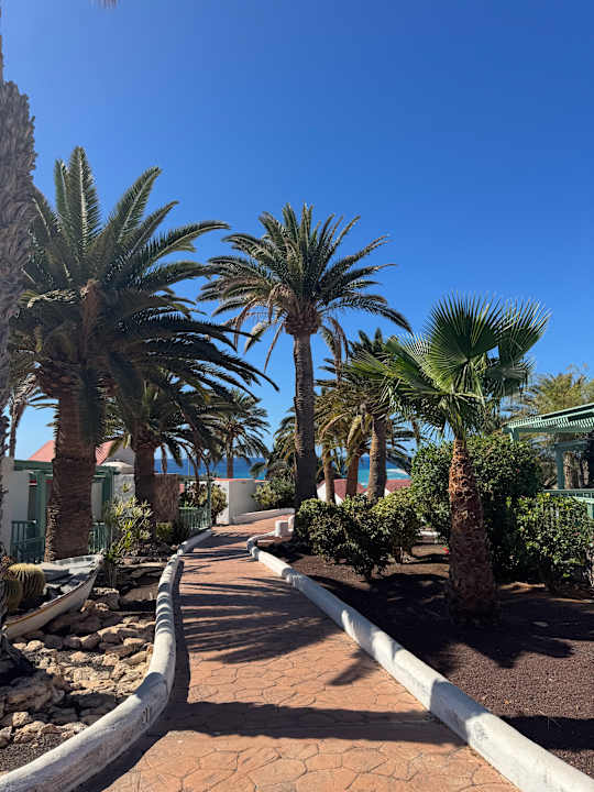 Gartenanlage Aldiana Club Fuerteventura