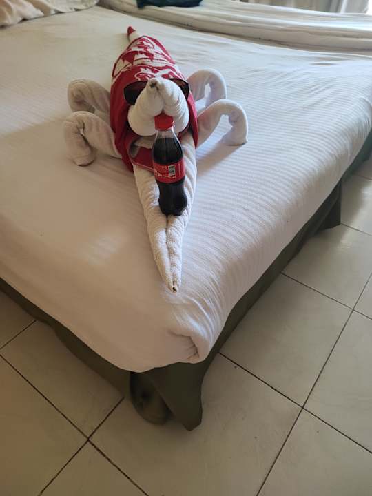 Zimmer Ghazala Gardens