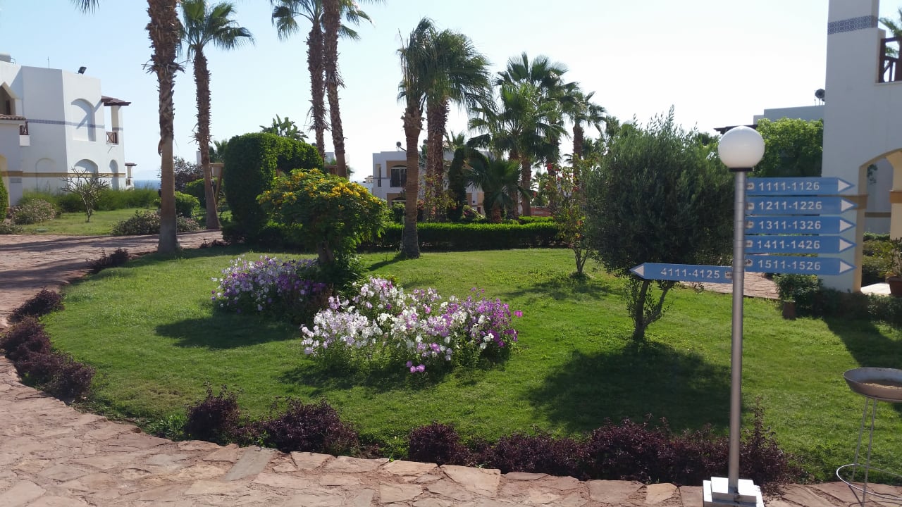 Gartenanlage Amphoras Blu