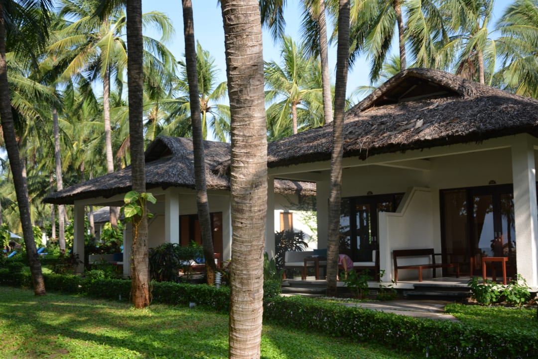 Gartenanlage Hotel Blue Ocean Resort