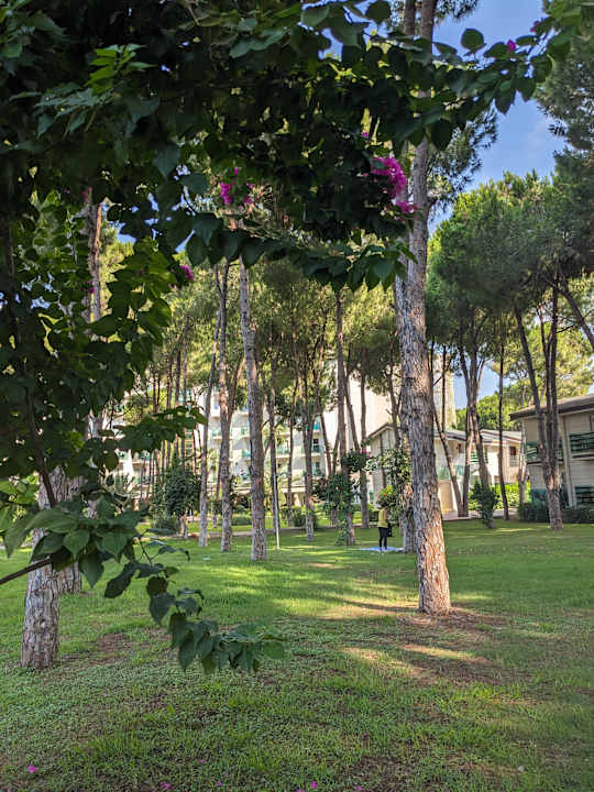 Gartenanlage TUI MAGIC LIFE Masmavi