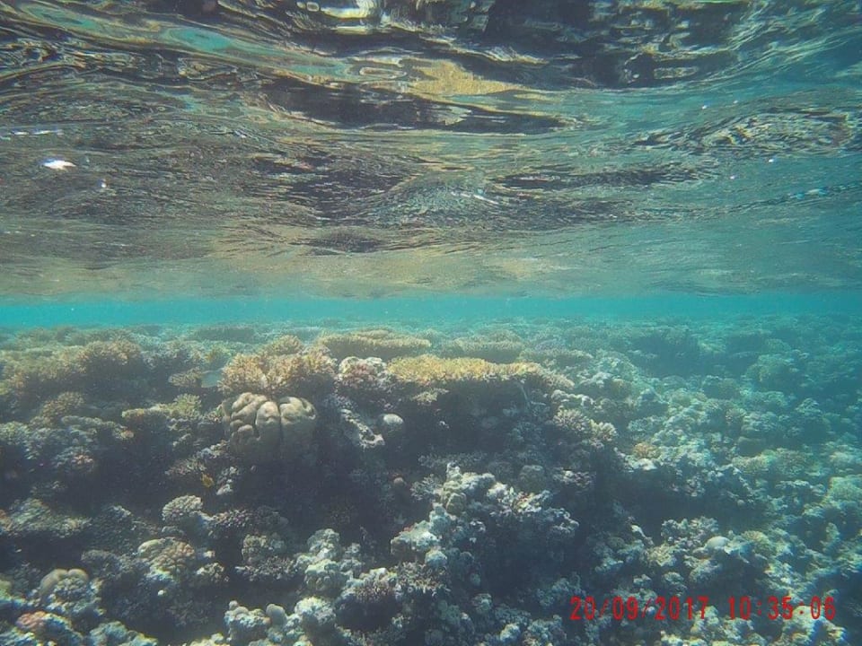 Sport & Freizeit Cleopatra Luxury Resort Makadi Bay