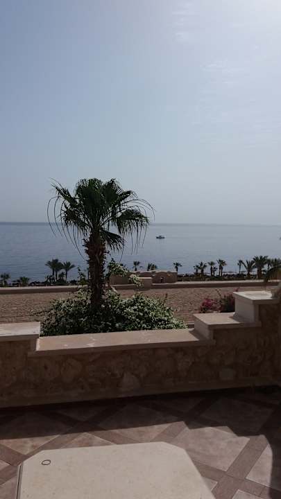 Ausblick Pickalbatros Citadel Resort