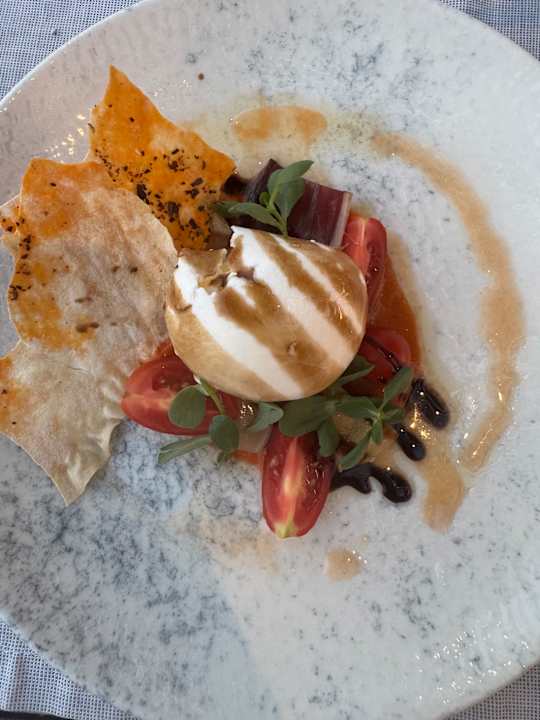 Gastro Paloma Finesse