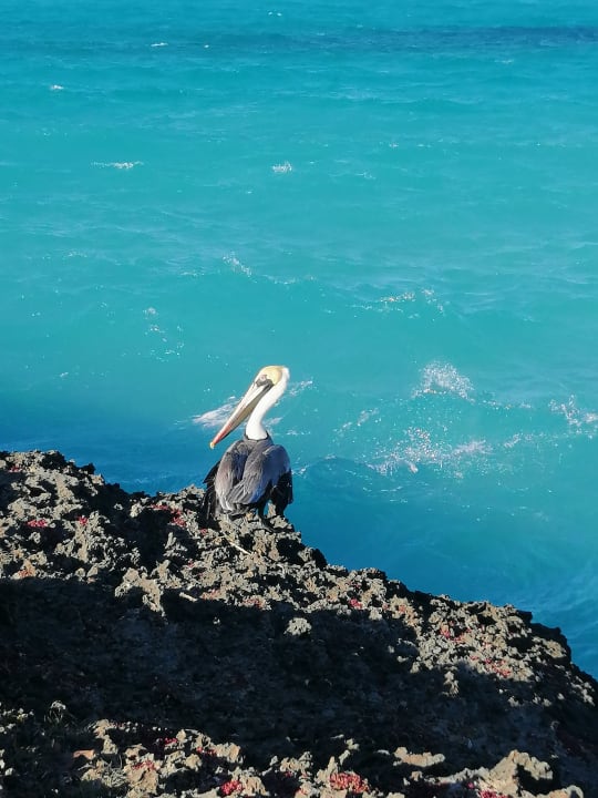 Strand Sirenis Tropical Varadero