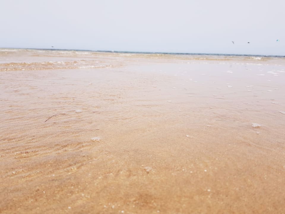 Strand Shams Prestige Abu Soma-Adults Only