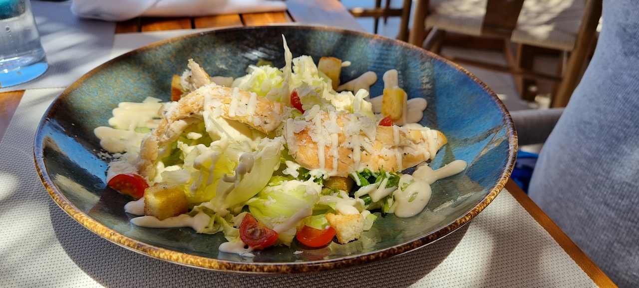 Gastro JAZ Elite Asteria