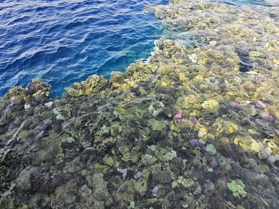 Sonstiges Pickalbatros Palace Hotel-Port Ghalib