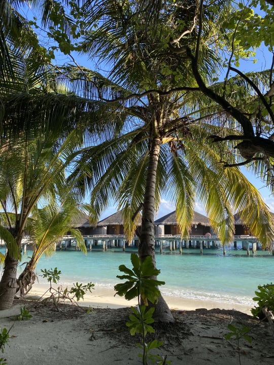 Außenansicht Kuramathi Maldives