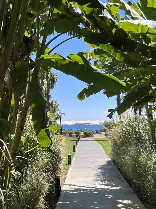 Gartenanlage Paloma Finesse