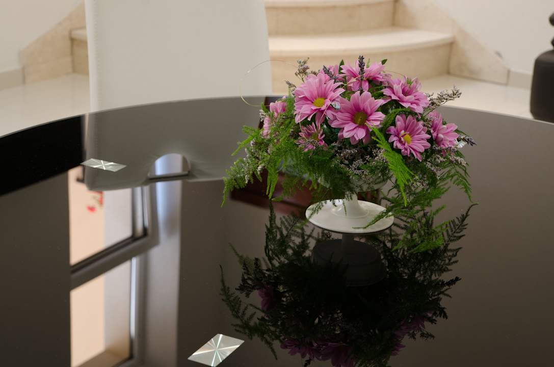 Gallery Apartment 5  Sibenik Apartments Stars