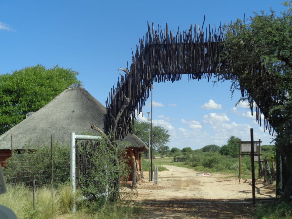 Außenansicht Kalahari Bush Breaks Lodge