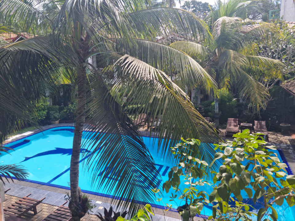 Pool Hotel Bentota Village