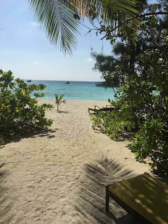 Strand Summer Island Maldives