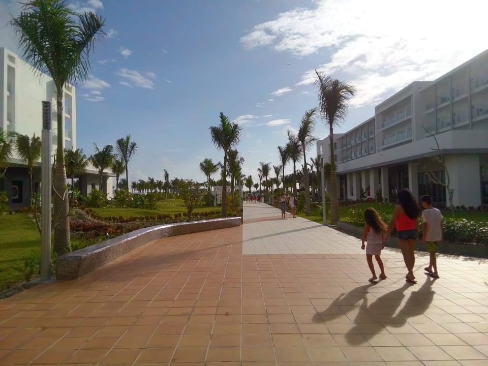 Gartenanlage Hotel Riu Dunamar