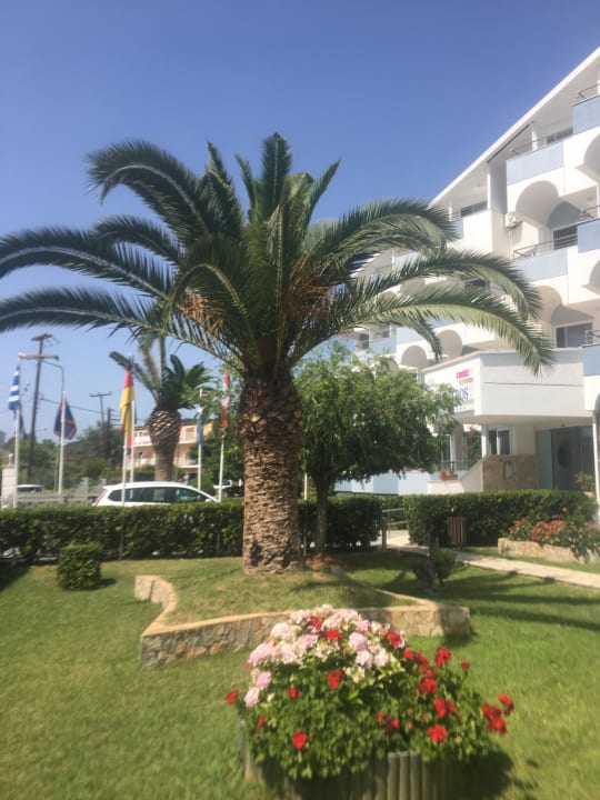 Außenansicht Hotel Albatros