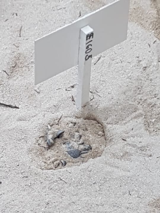 Sonstiges Akumal Bay Beach & Wellness Resort