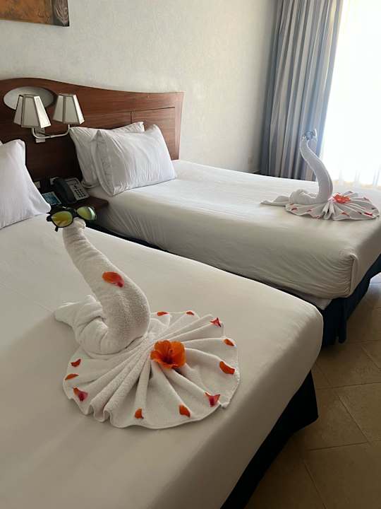 Zimmer Stella Garden Resort & Spa, Makadi Bay