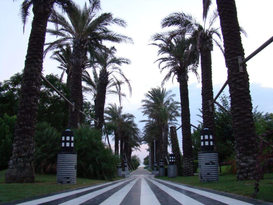 Joy pegasos world AQI Pegasos World