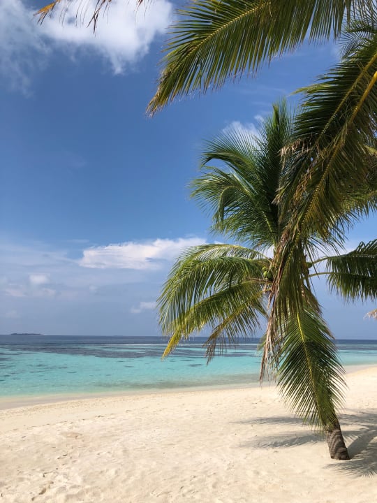 Strand Kuredhivaru Resort and Spa, Maldives