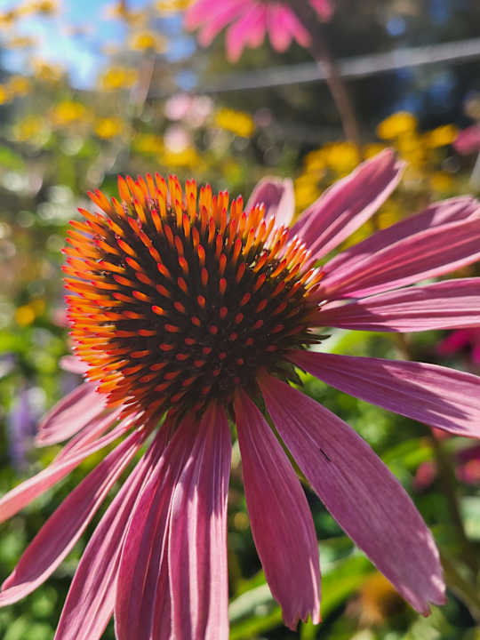 Gartenanlage Santé Royale Warmbad Wolkenstein