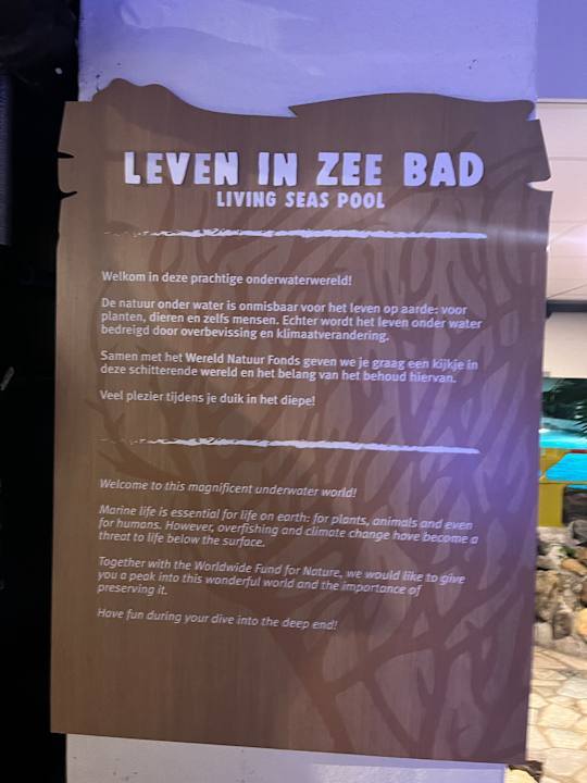 Pool Center Parcs De Kempervennen