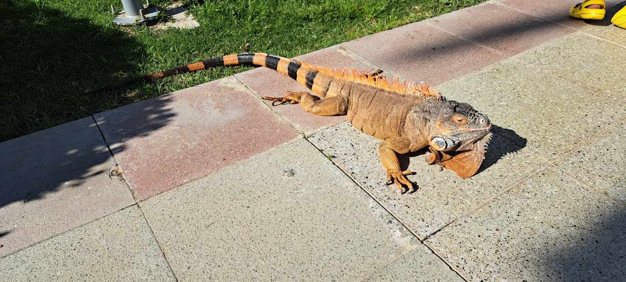 Sonstiges Belek Beach Resort Hotel