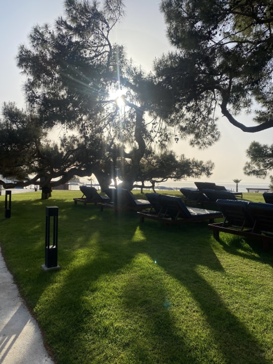 Gartenanlage Rixos Premium Tekirova