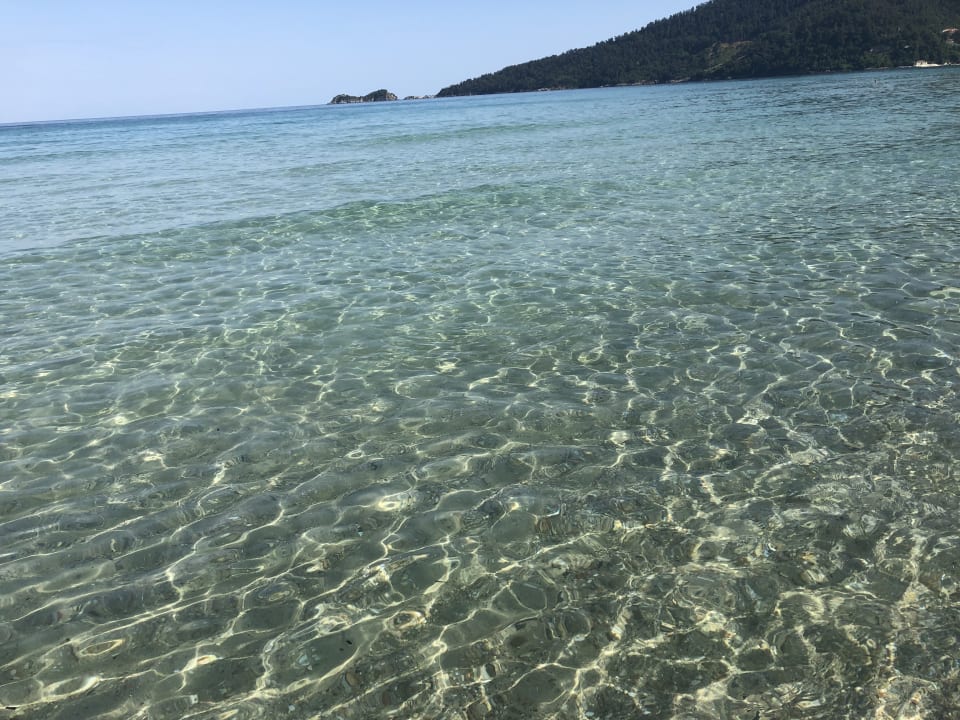 Strand Alexandra Golden Boutique - Adults only