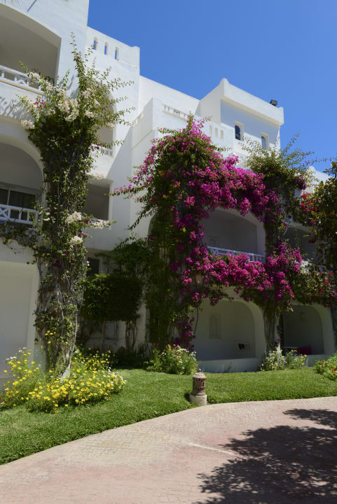 Gartenanlage Hotel Djerba Resort