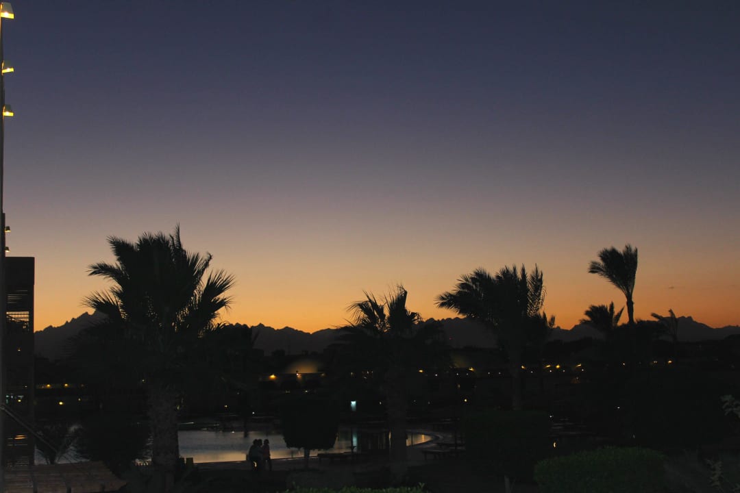 Вид из номера Desert Rose