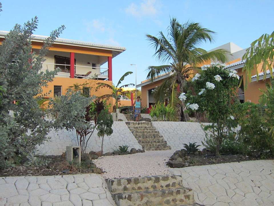 Blick von Pool auf terrassenförmigen Garten Don Genaro Apartments