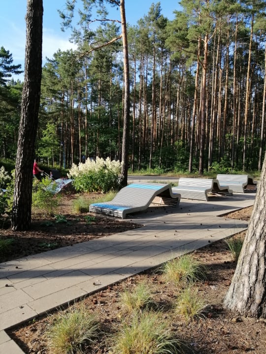 Gartenanlage Familienpark Senftenberger See