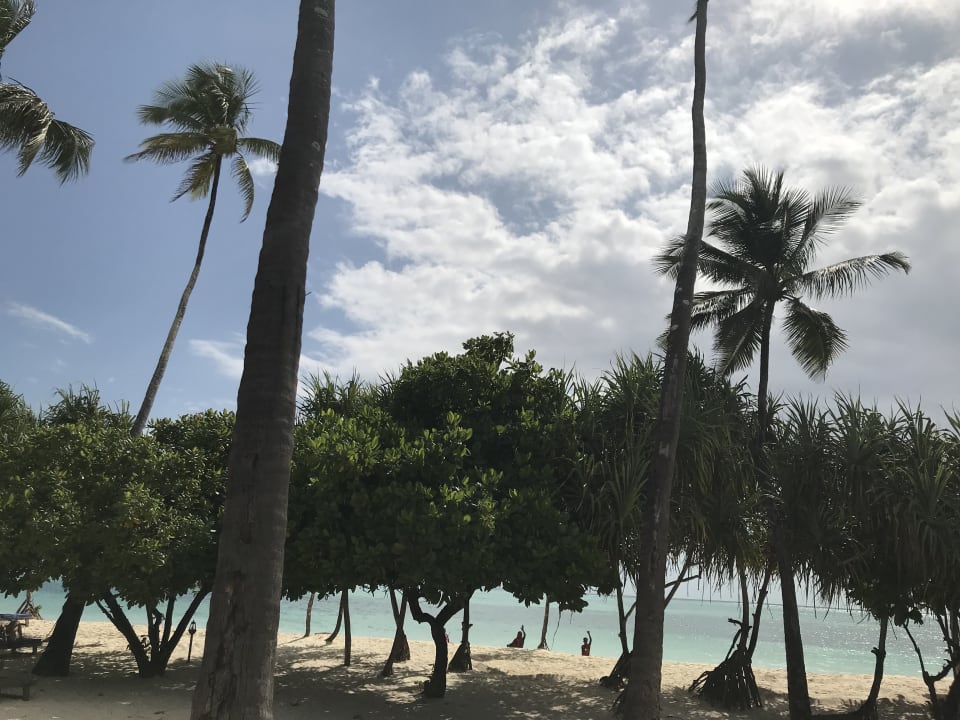 Strand Neptune Pwani Beach Resort & Spa