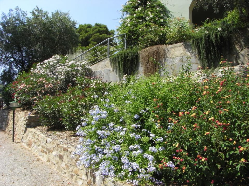 Der Weg zum Pool, herrliche Pflanzen Hotel Fontermosa