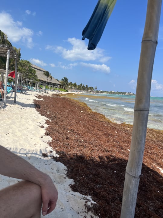 Strand Akumal Bay Beach & Wellness Resort