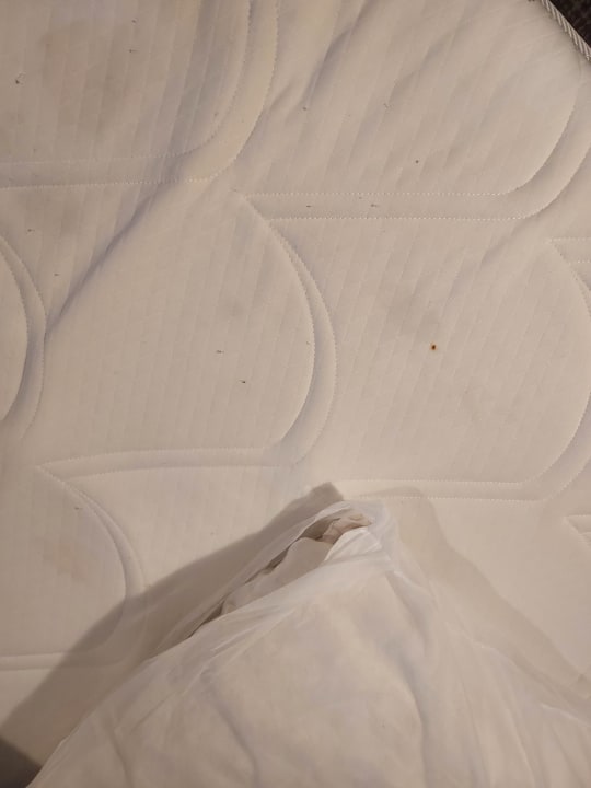 Zimmer Nemea Appart Hotel Elypseo Strasbourg Port