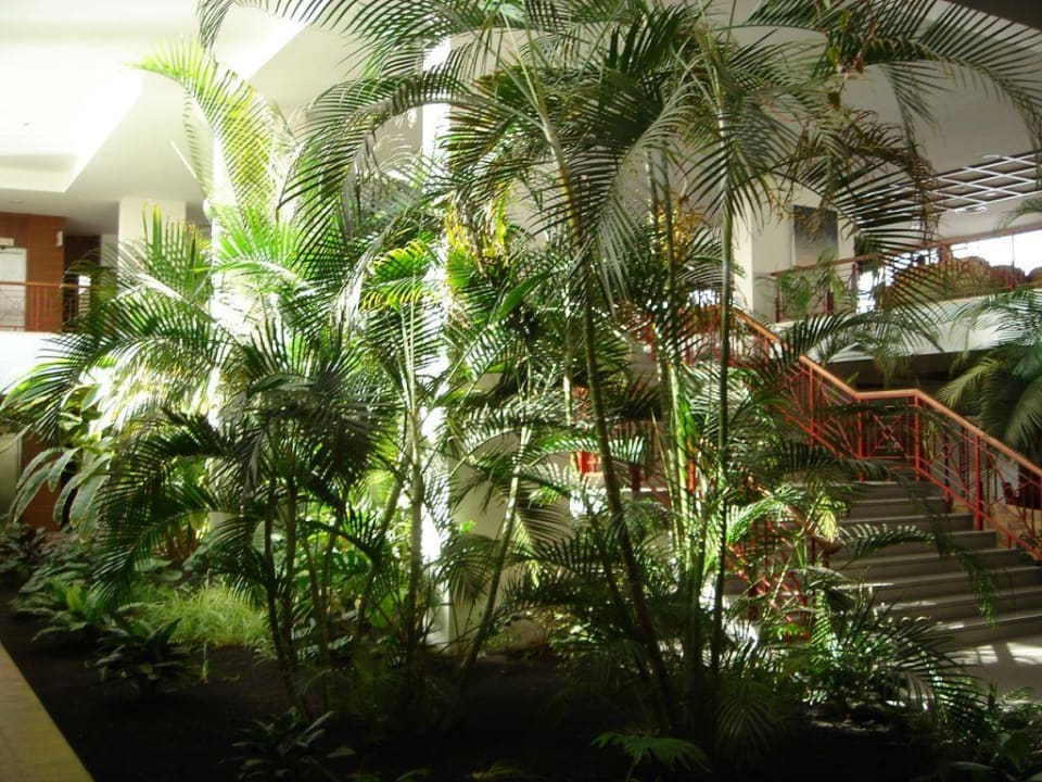 LOBBY Hotel Costa Calero