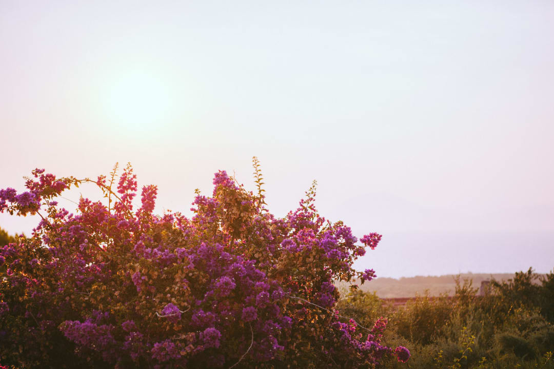 Außenansicht Vigla Village Hotel Aparts Resort