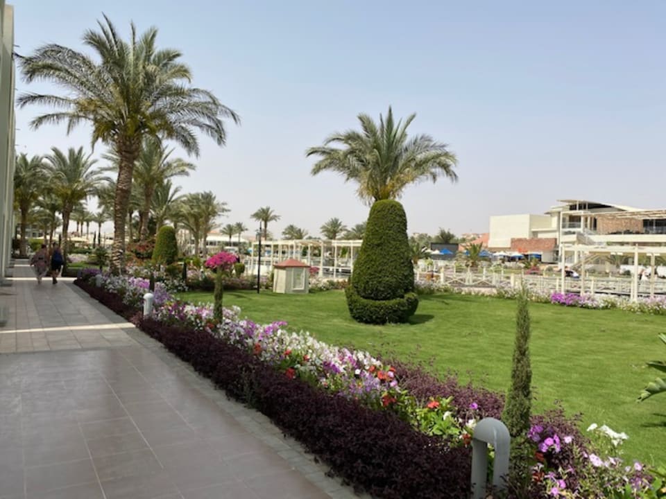 Gartenanlage Pickalbatros Dana Beach Resort - Hurghada