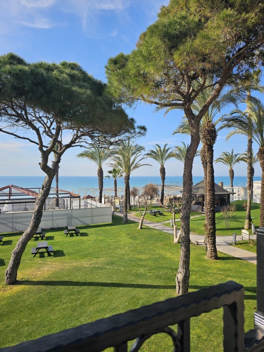 Ausblick Papillon Ayscha